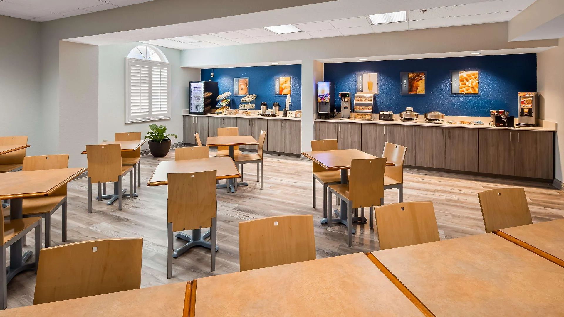 Hotel Best Western Tampa