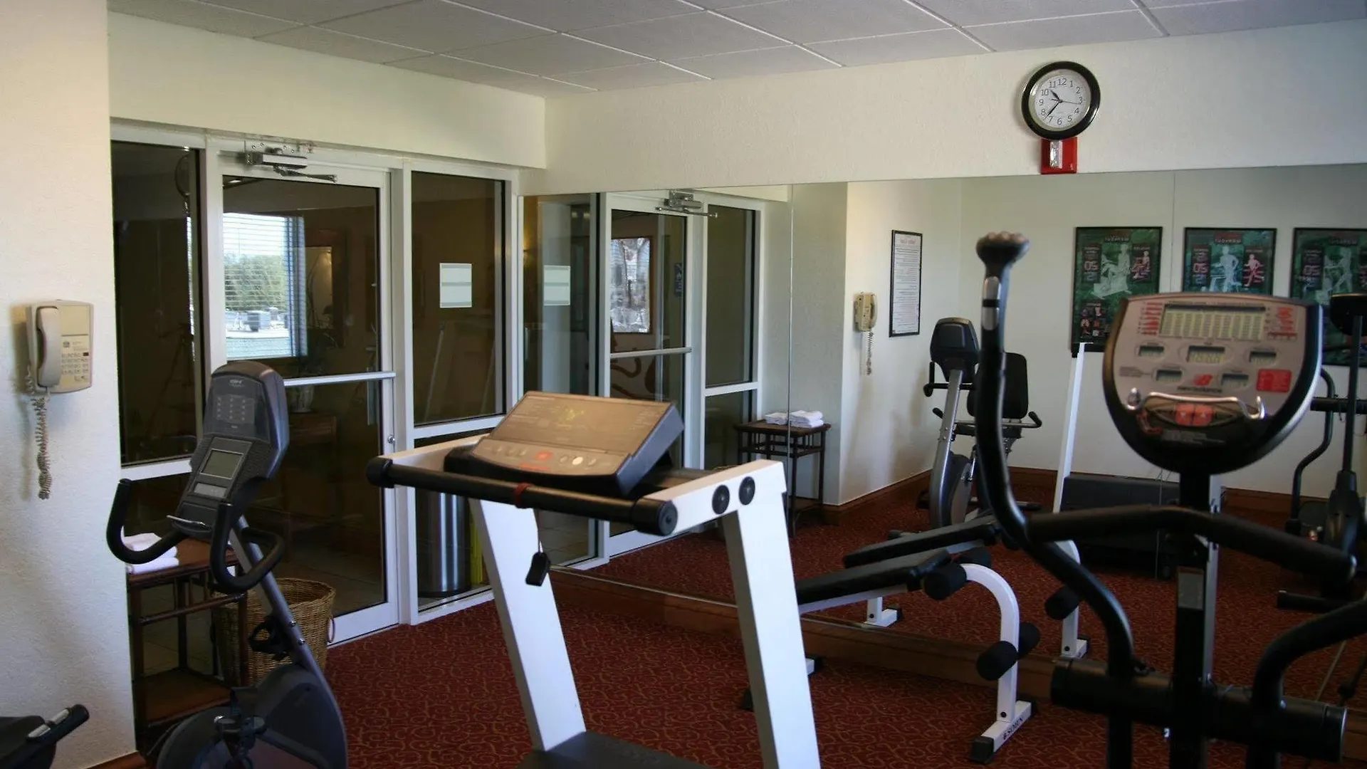 Best Western Tampa Hotel